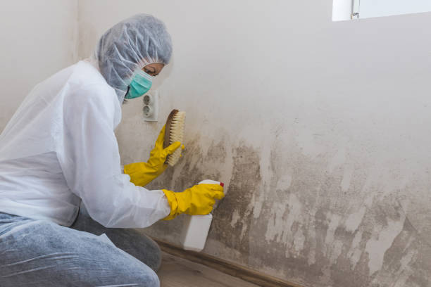 Best Residential Mold Inspection & Testing  in Clinton, MD